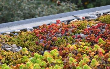 the cost of Pathstruie green roof installation