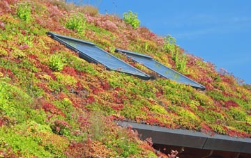 Pathstruie living roof systems