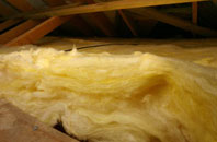 Pathstruie pitch roof insulation
