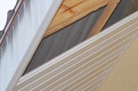 rated Pathstruie soffit repair companies